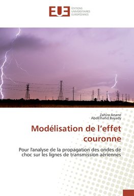 Modélisation de l'effet couronne