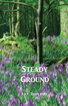 Steady Ground