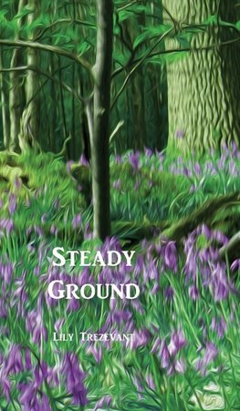 Steady Ground
