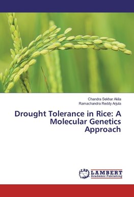 Drought Tolerance in Rice: A Molecular Genetics Approach