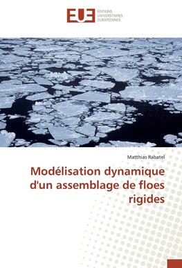 Modélisation dynamique d'un assemblage de floes rigides