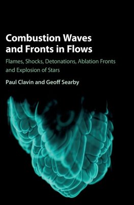 Combustion Waves and Fronts in Flows