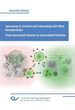 Liposomes in Contact and Interacting with Silica Nanoparticles: From Decorated Vesicles to Internalized Particles.