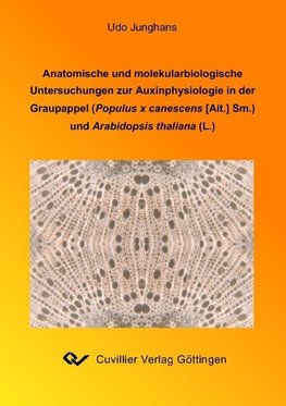 Anatomische und molekularebiologische Untersuchungen zur Auxinlphysiologie in der Graupappel (Populus x canescens Sm.) und  Arabitopsis thaliana (L.)