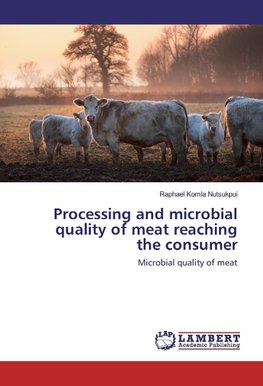 Processing and microbial quality of meat reaching the consumer