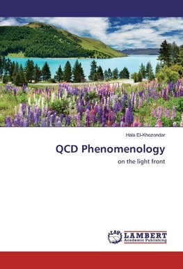 QCD Phenomenology