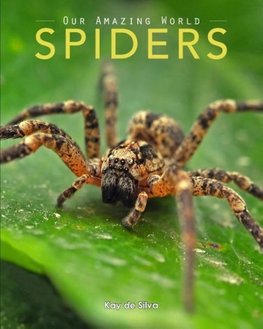 Spiders