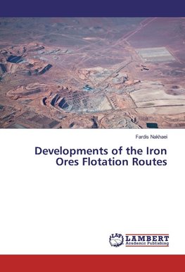 Developments of the Iron Ores Flotation Routes