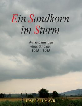 Ein Sandkorn im Sturm