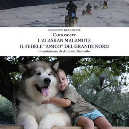 Conoscere l'Alaskan Malamute - Il fedele "amico" del Grande Nord
