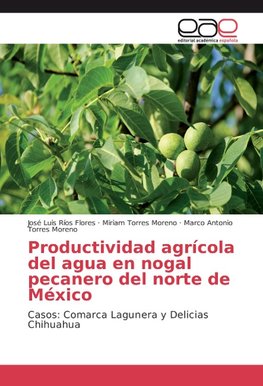 Productividad agrícola del agua en nogal pecanero del norte de México