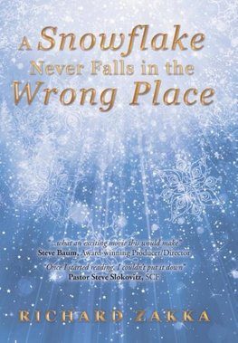 A Snowflake Never Falls in the Wrong Place