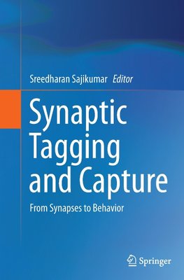 Synaptic Tagging and Capture