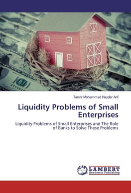 Liquidity Problems of Small Enterprises