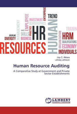 Human Resource Auditing