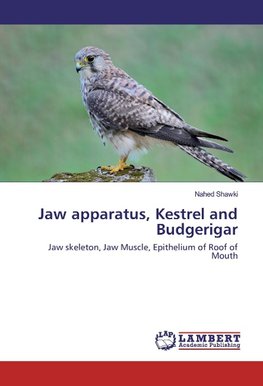 Jaw apparatus, Kestrel and Budgerigar