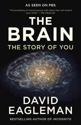The Brain