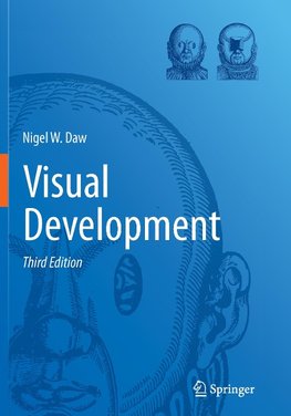 Visual Development