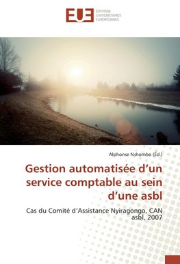 Gestion automatisée d'un service comptable au sein d'une asbl