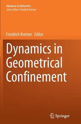 Dynamics in Geometrical Confinement