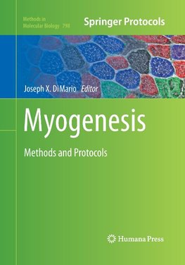 Myogenesis