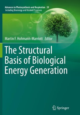The Structural Basis of Biological Energy Generation