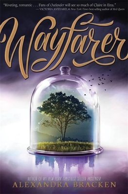 Passenger 02. Wayfarer
