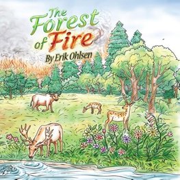 The Forest Of Fire
