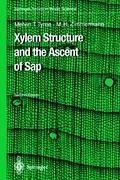 Xylem Structure and the Ascent of Sap