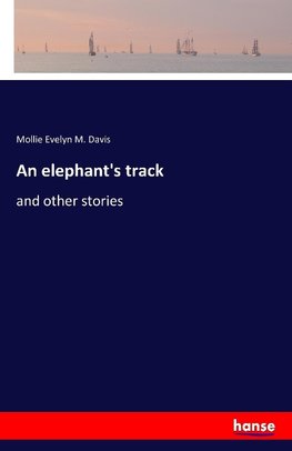 An elephant's track