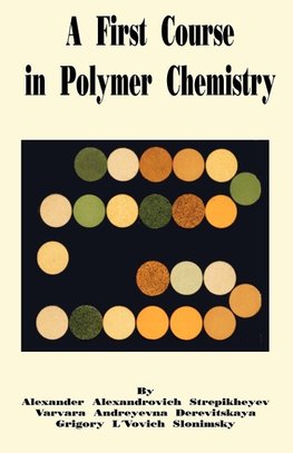 First Course in Polymer Chemistry, A