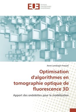 Optimisation d'algorithmes en tomographie optique de fluorescence 3D