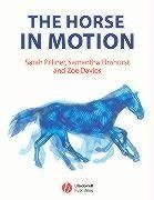 Pilliner, S: Horse in Motion