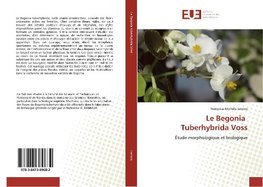 Le Begonia Tuberhybrida Voss