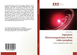 Signature Électromagnétique d'une cible complexe