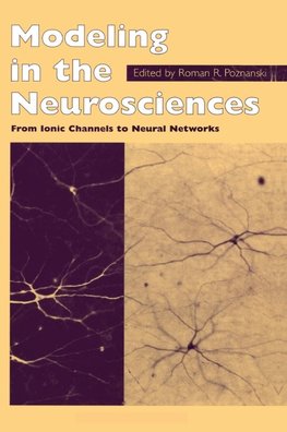 Modeling in the Neurosciences