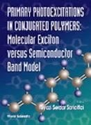 PRIMARY PHOTOEXCITATIONS IN CONJUGATED..