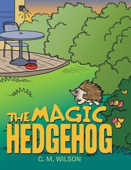 The Magic Hedgehog