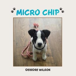 Micro Chip