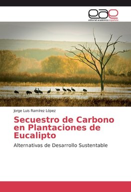 Secuestro de Carbono en Plantaciones de Eucalipto