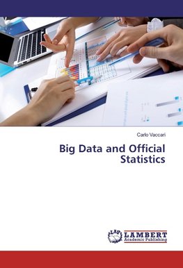Big Data and Official Statistics