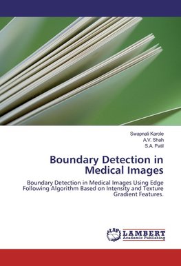 Boundary Detection in Medical Images
