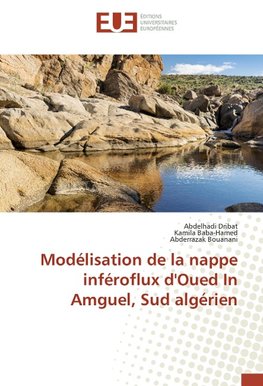 Modélisation de la nappe inféroflux d'Oued In Amguel, Sud algérien