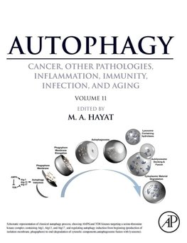 Autophagy