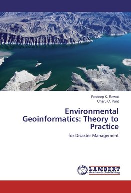 Environmental Geoinformatics: Theory to Practice