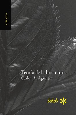 Teoría del alma china