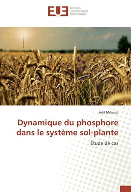 Dynamique du phosphore dans le système sol-plante