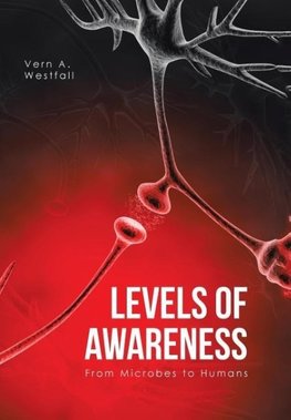 Levels of Awareness