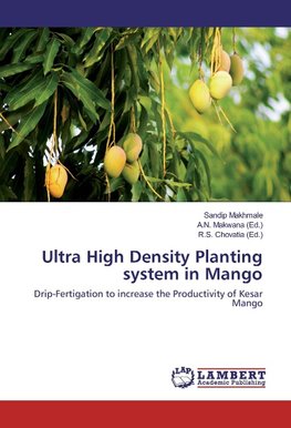 Ultra High Density Planting system in Mango