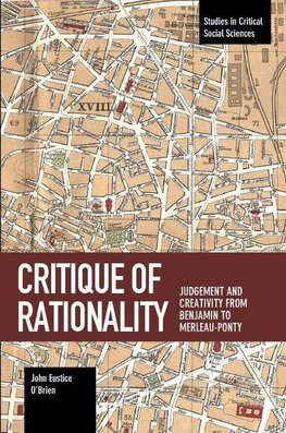 Critique of Rationality